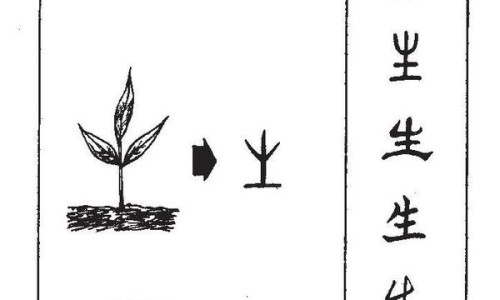 绿瘦子功效图片大全-绿瘦子功效图片网- 绿瘦子功效图片大全知识,分享绿瘦子功效图片大全