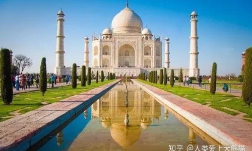 绿瘦子功效图片网- 绿瘦子功效图片大全知识,分享绿瘦子功效图片大全