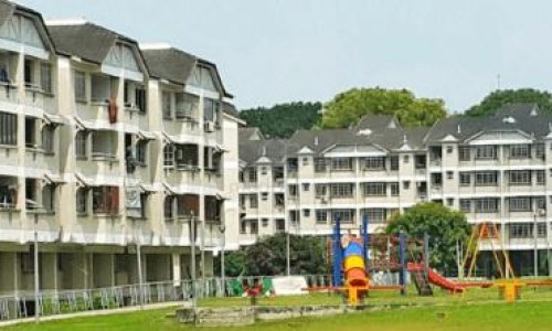 绿瘦子功效图片大全-绿瘦子功效图片网- 绿瘦子功效图片大全知识,分享绿瘦子功效图片大全